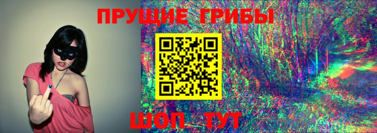 Псилоцибиновые грибы Psilocybe Можга