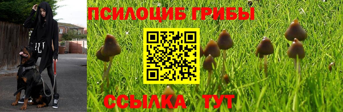 Можга  Галлюциногенные грибы ЛСД  Вход с VPN 
